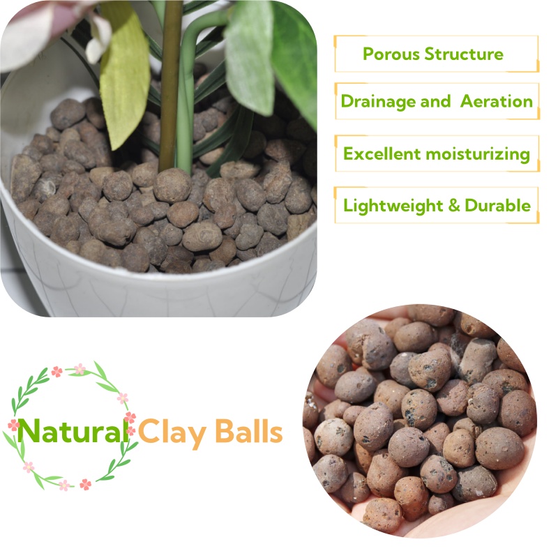 Clay Pebble Growing - 2L/1L 유기농 점토볼, 꽃 배지용 배수용