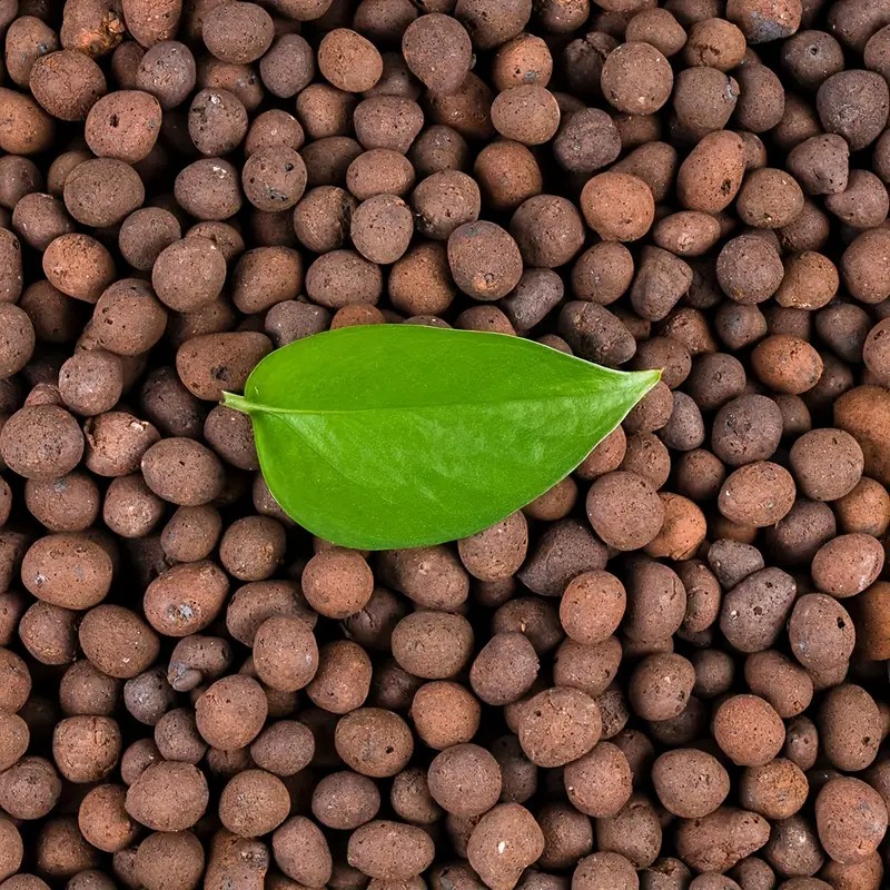 Clay Pebble Growing - 1LB 재사용 가능한 수경 점토 자갈