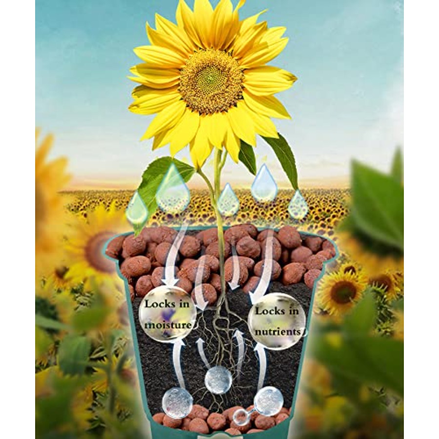 볼루시미 클레이 페블스 수경재배용 유기농 세라사이트 재 - Clay Pebble Growing 리뷰 및 가격