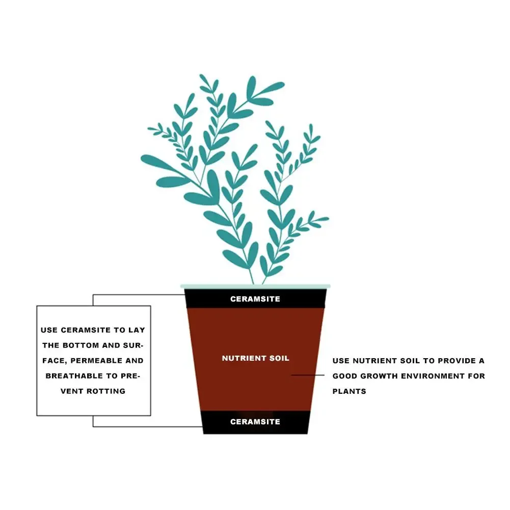 식물을위한 1L 천연 확장 점토 자갈 수족관 실내 화분 - Clay Pebble Growing 리뷰 및 가격