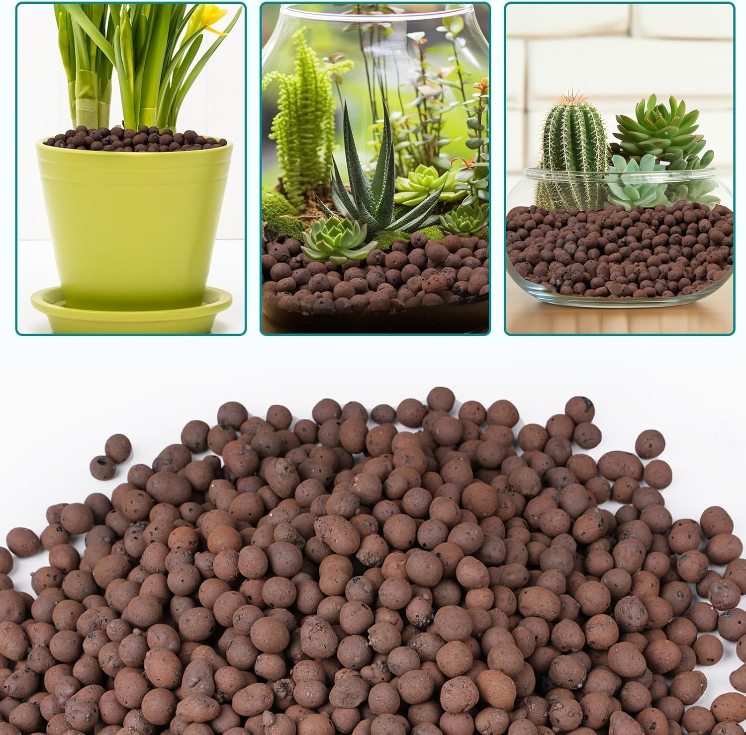 식물용 100/200G 점토 자갈, 식물 배수용 경량  - Clay Pebble Growing 리뷰 및 가격