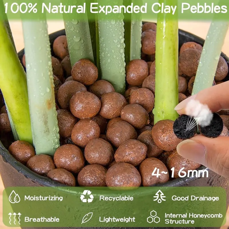 1LB 재사용 가능한 수경 점토 자갈 천연 수경 재배  - Clay Pebble Growing 리뷰 및 가격
