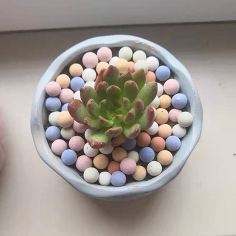 고체 세라믹 사이트 확장 점토 자갈, 재배 매체, 난초 - Clay Pebble Growing 리뷰 및 가격